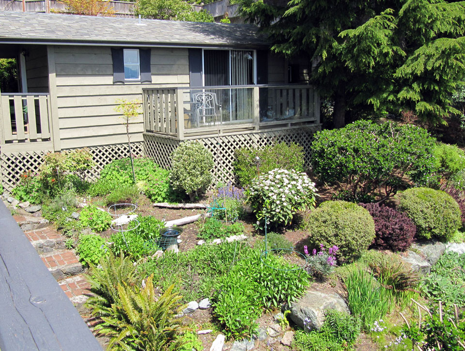 Driftwood Beach House Island Vacation Homes